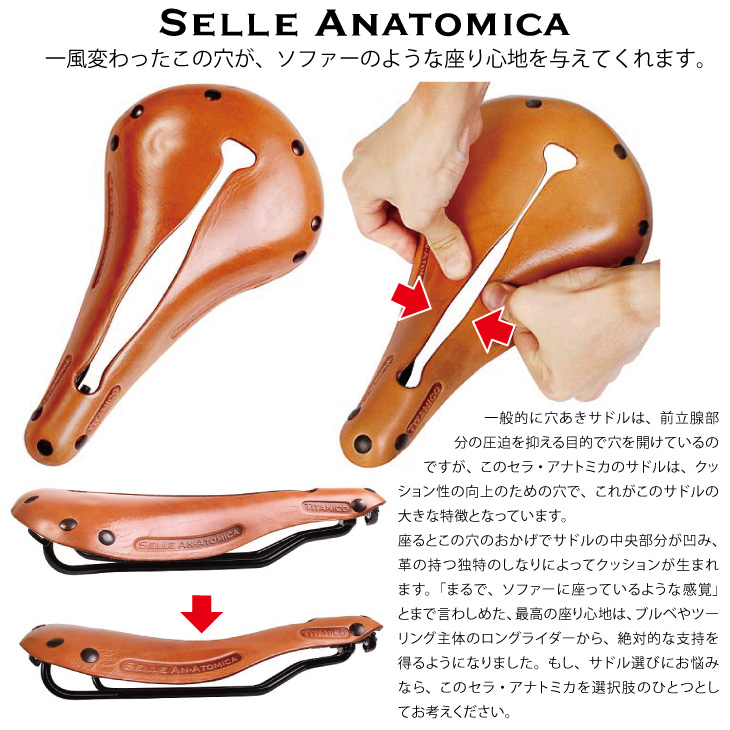 ◎上部に1箇所水ジミがありますセラアナトミカ  selle-an-atomica 【初期モデル】